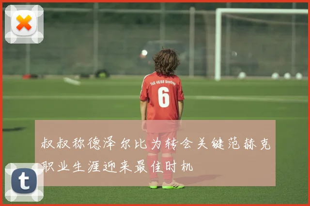 叔叔称德泽尔比为转会关键范赫克职业生涯迎来最佳时机