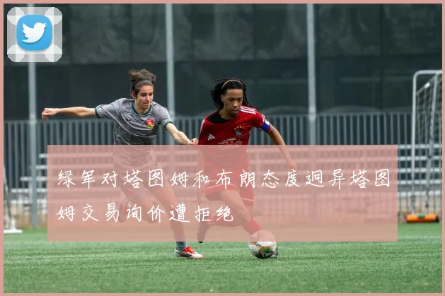 绿军对塔图姆和布朗态度迥异塔图姆交易询价遭拒绝