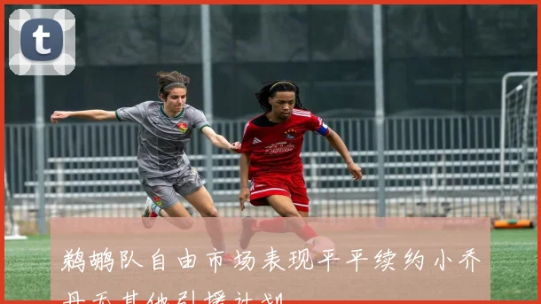 鹈鹕队自由市场表现平平续约小乔丹无其他引援计划